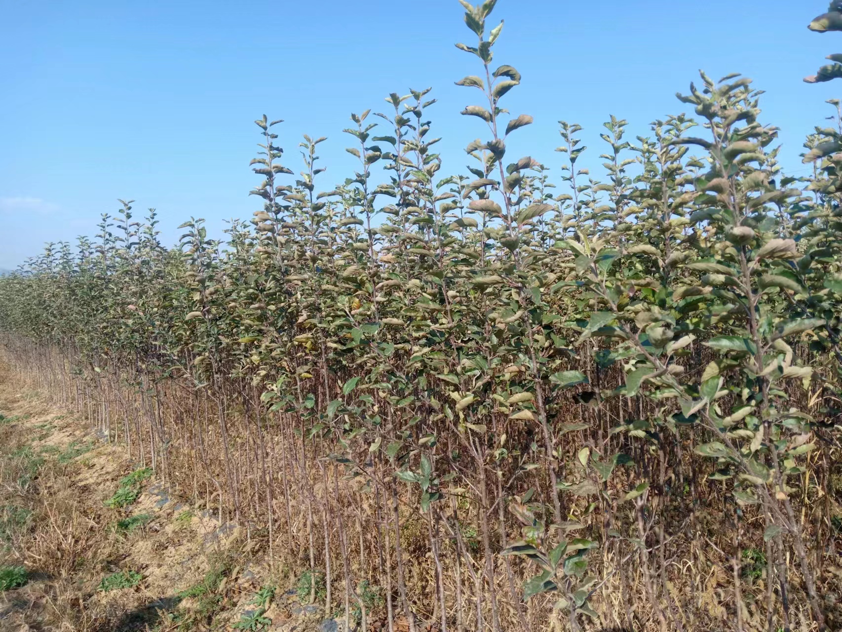 微信图片_20231109154113 微信图片_20231109154113