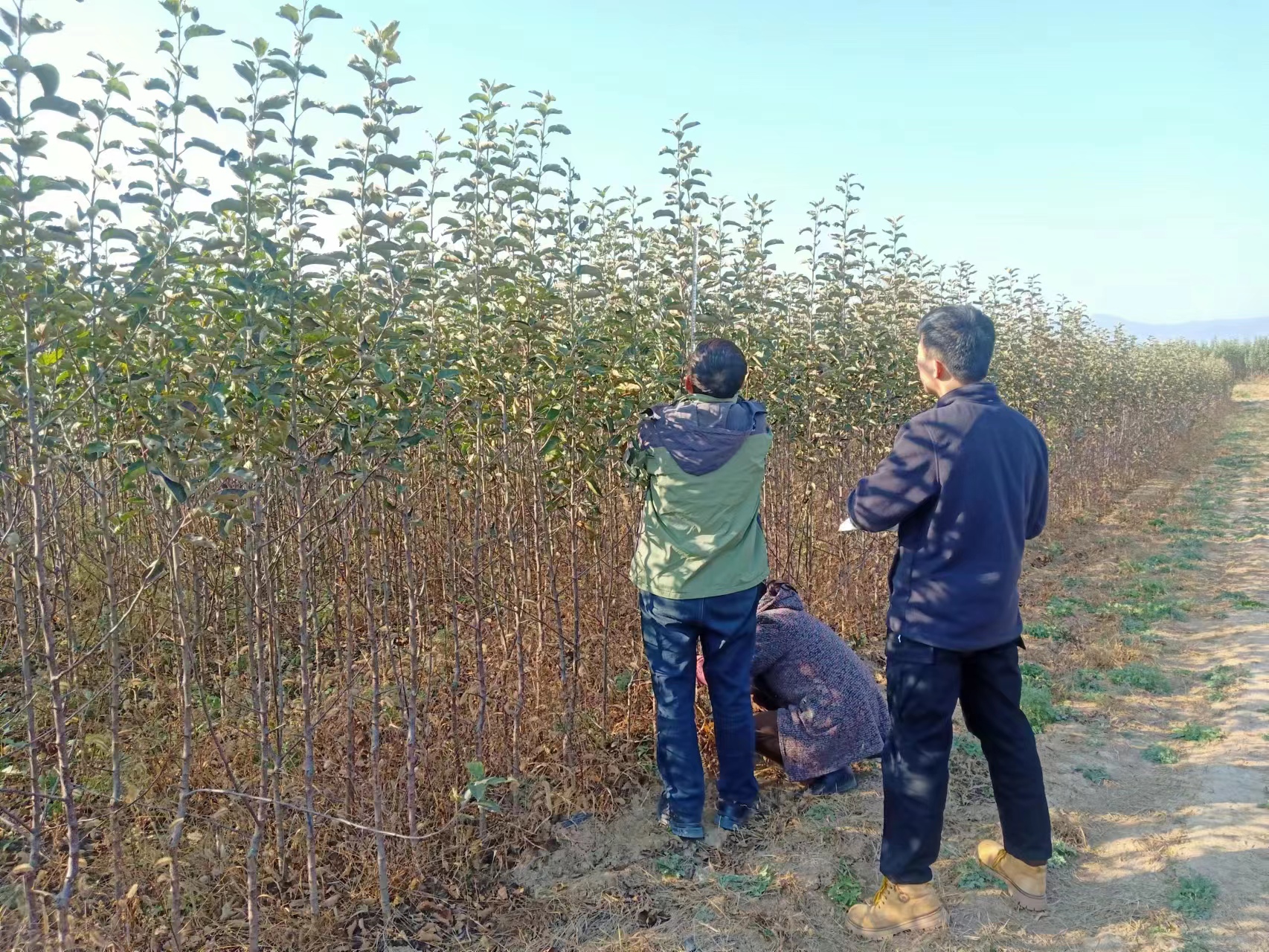 微信图片_20231109154104 微信图片_20231109154104