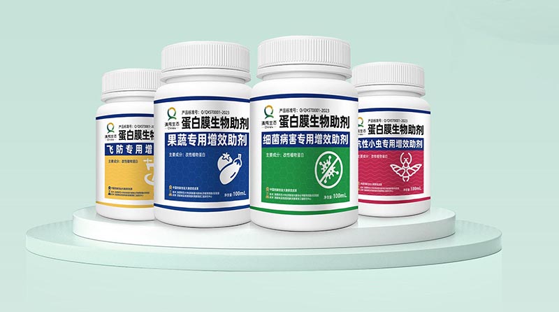 微信图片_20231018092646 - 副本 微信图片_20231018092646 - 副本